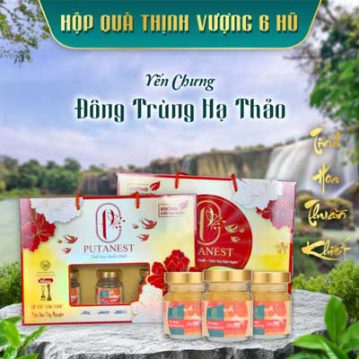 Hộp Thịnh Vượng 6 Hũ Yến Chưng Cao Cấp Đông Trùng Hạ Thảo 28%