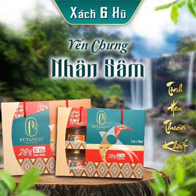 Xách 6 Hũ Yến Chưng Cao Cấp Nhân Sâm 28%